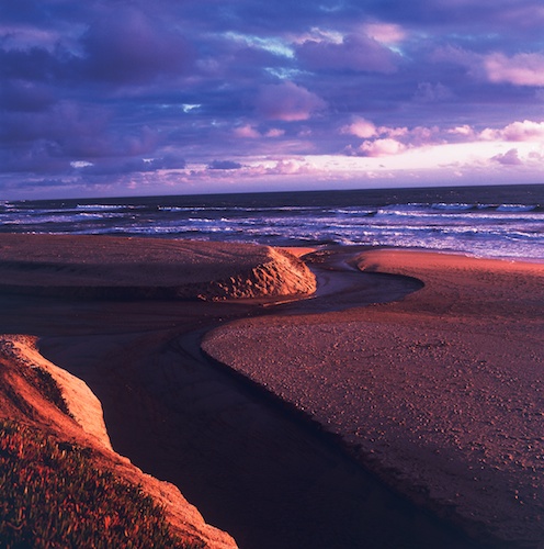 Melanie Heinrich Photographer